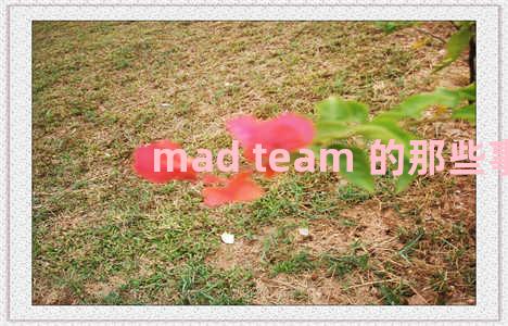 mad team 的那些事